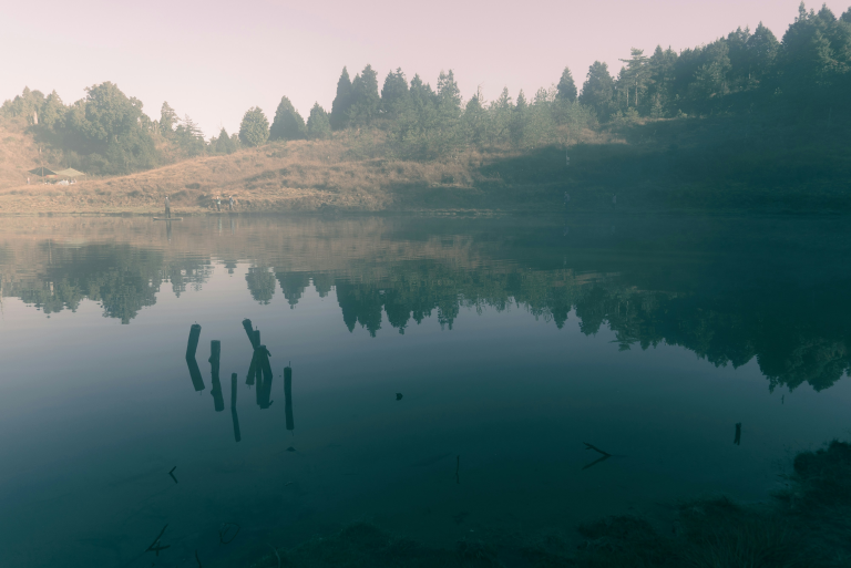 When Silence Becomes Service